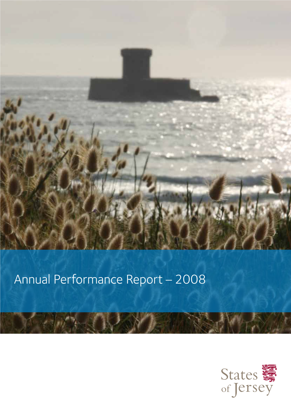 Annual Performance Report – 2008