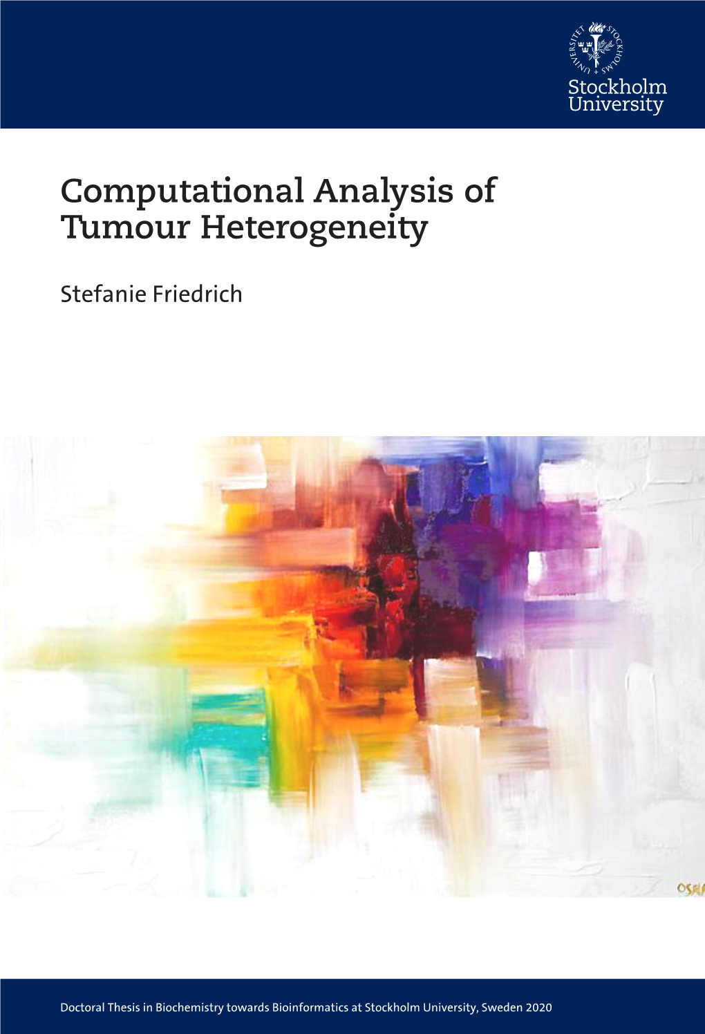 Computational Analysis of Tumour Heterogeneity