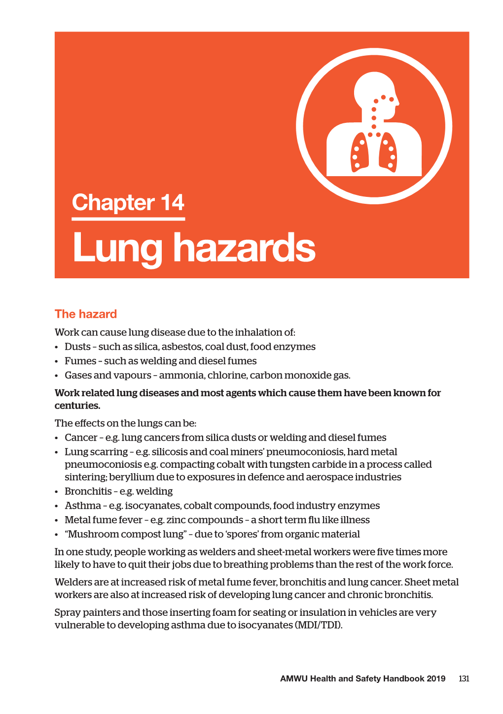 Lung Hazards