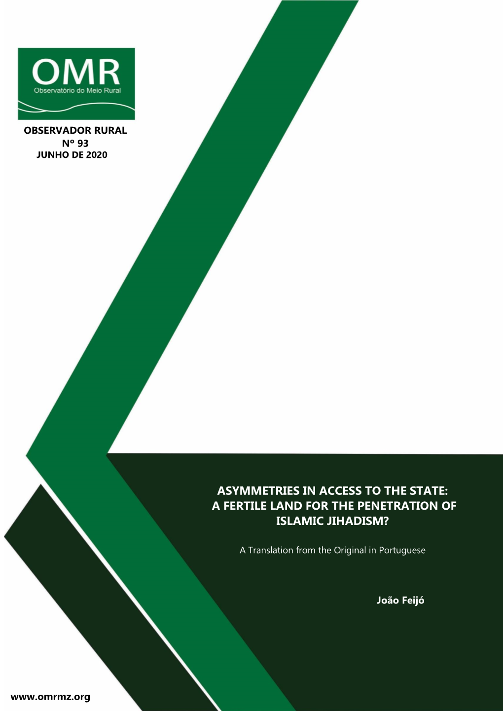 Asymmetries in Access to the State: a Fertile Land for the Penetration of Islamic Jihadism?