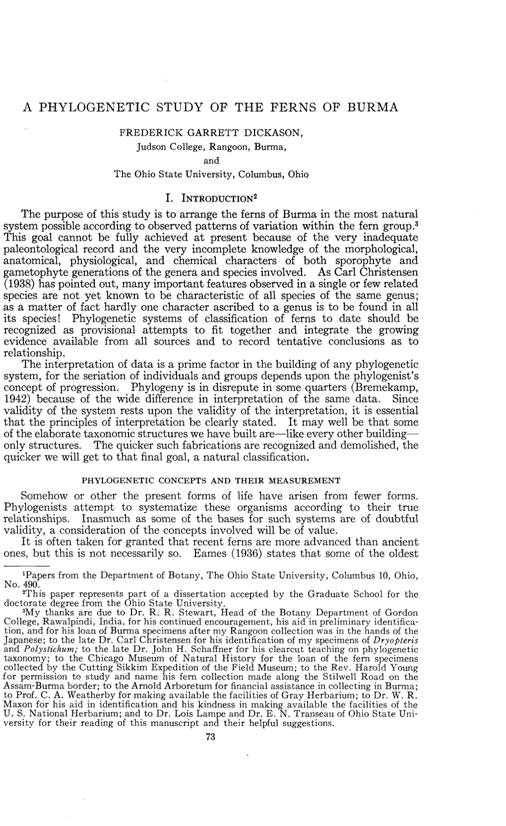 A Phylogenetic Study of the Ferns of Burma