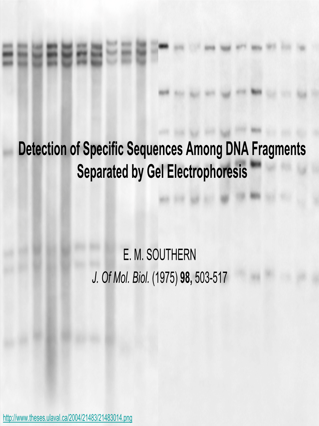 Detection of Specific Sequences Among DNA Fragments Separated by Gel Electrophoresis
