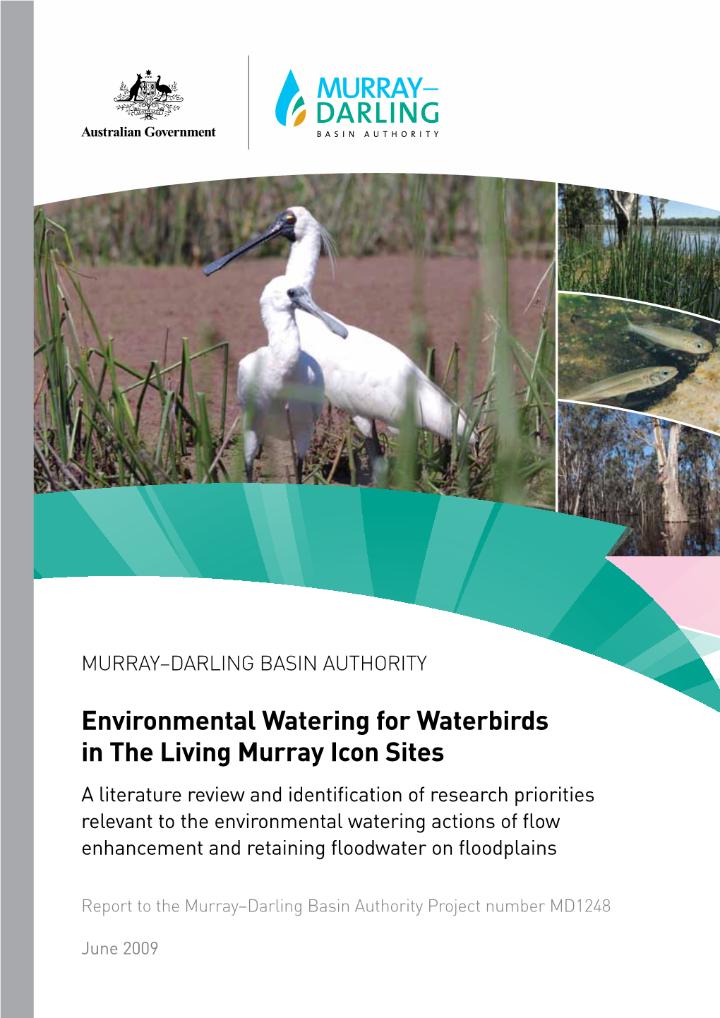Environmental Watering for Waterbirds in the Living Murray