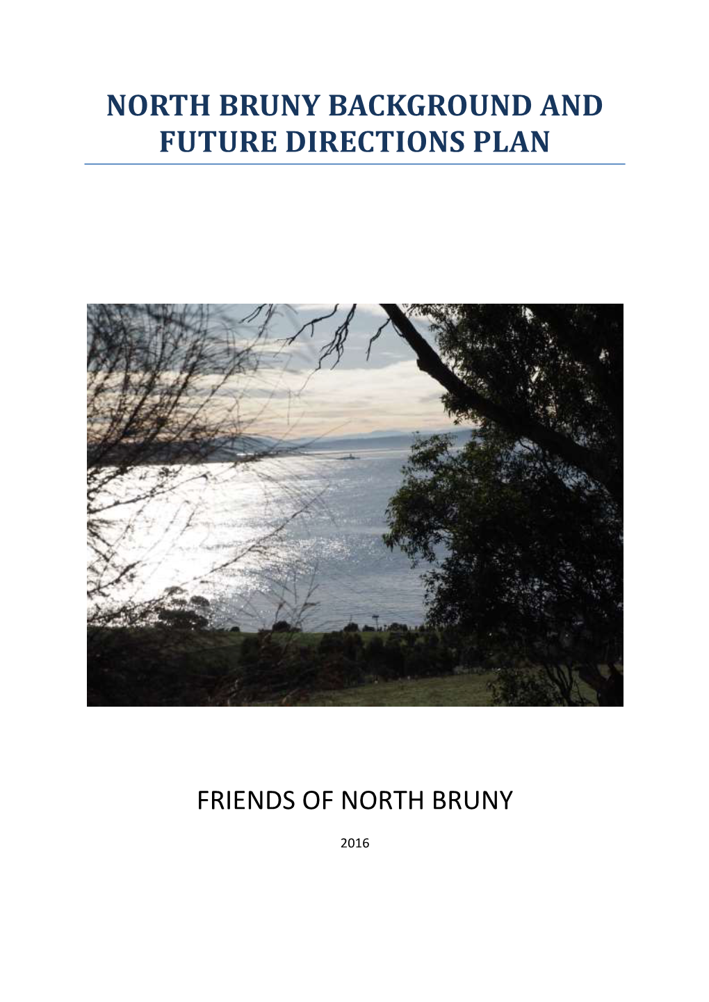 North Bruny Background and Future Directions Plan