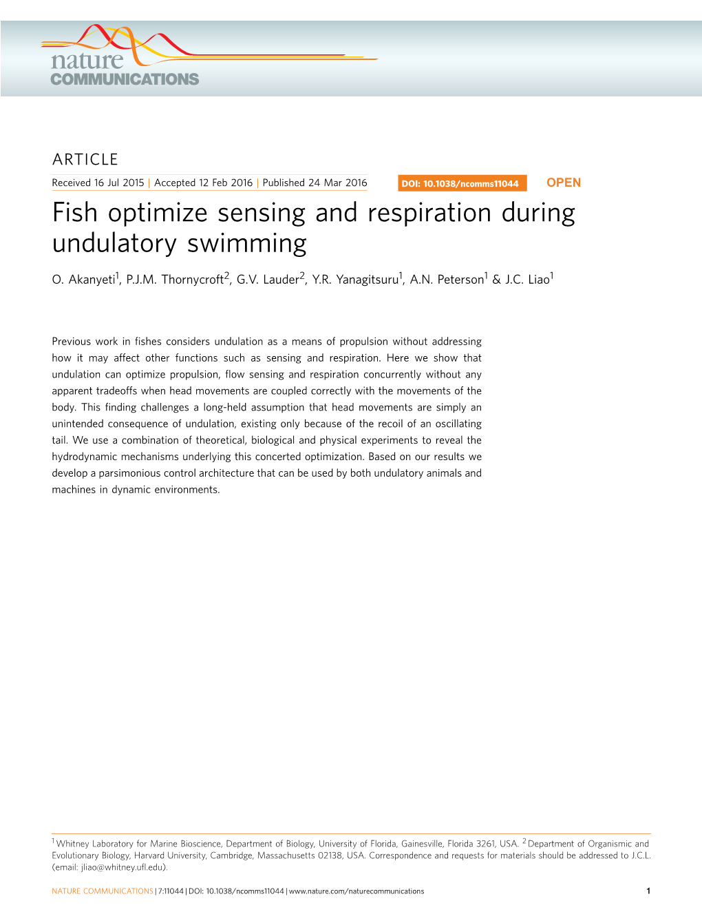 Fish Optimize Sensing and Respiration During Undulatory Swimming