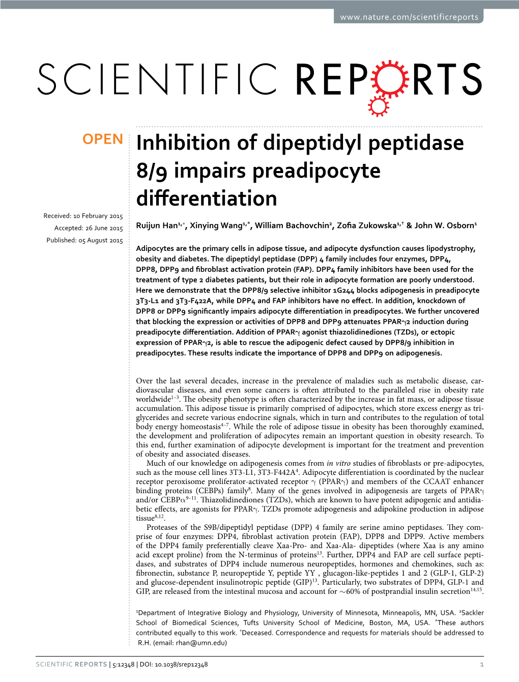 Inhibition of Dipeptidyl Peptidase 8/9 Impairs Preadipocyte Differentiation