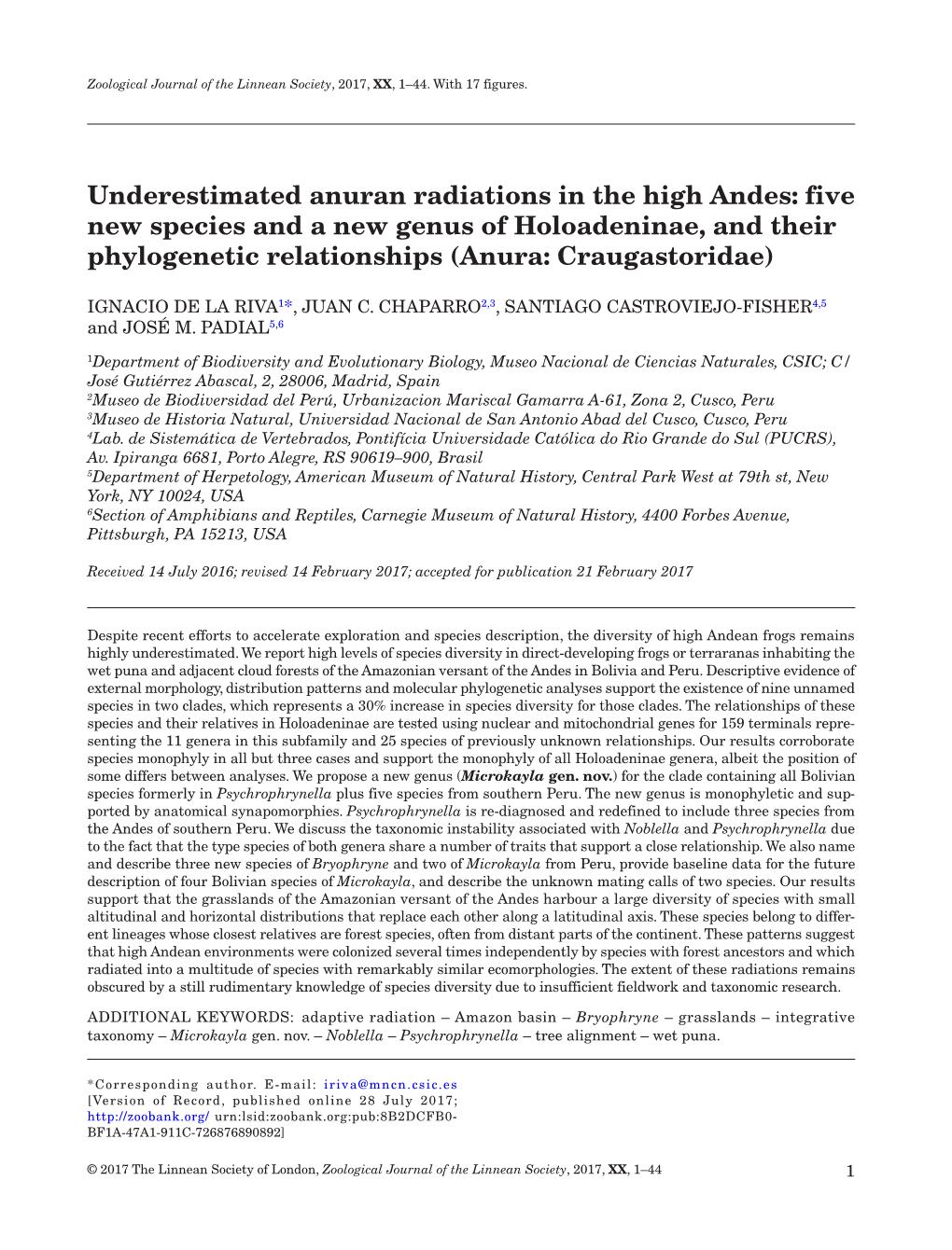 Underestimated Anuran Radiations in the High Andes: Five New Species and a New Genus of Holoadeninae, and Their Phylogenetic Relationships (Anura: Craugastoridae)