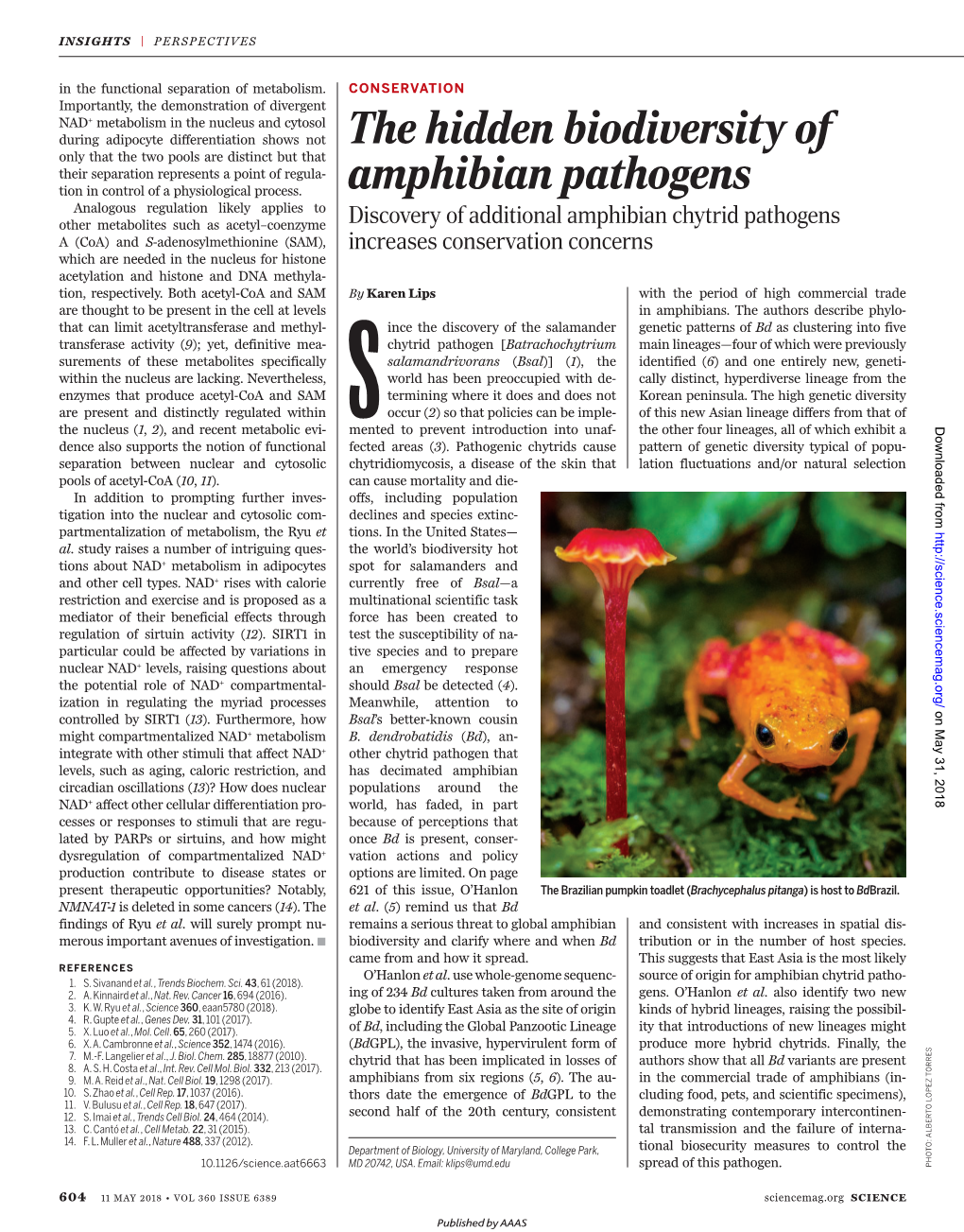 The Hidden Biodiversity of Amphibian Pathogens Karen Lips