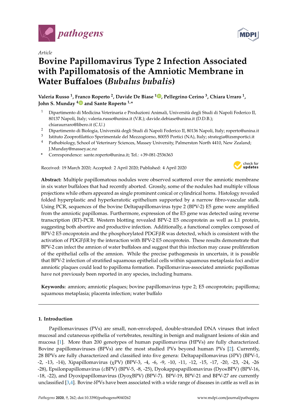 Bovine Papillomavirus Type 2 Infection Associated with Papillomatosis of the Amniotic Membrane in Water Buﬀaloes (Bubalus Bubalis)