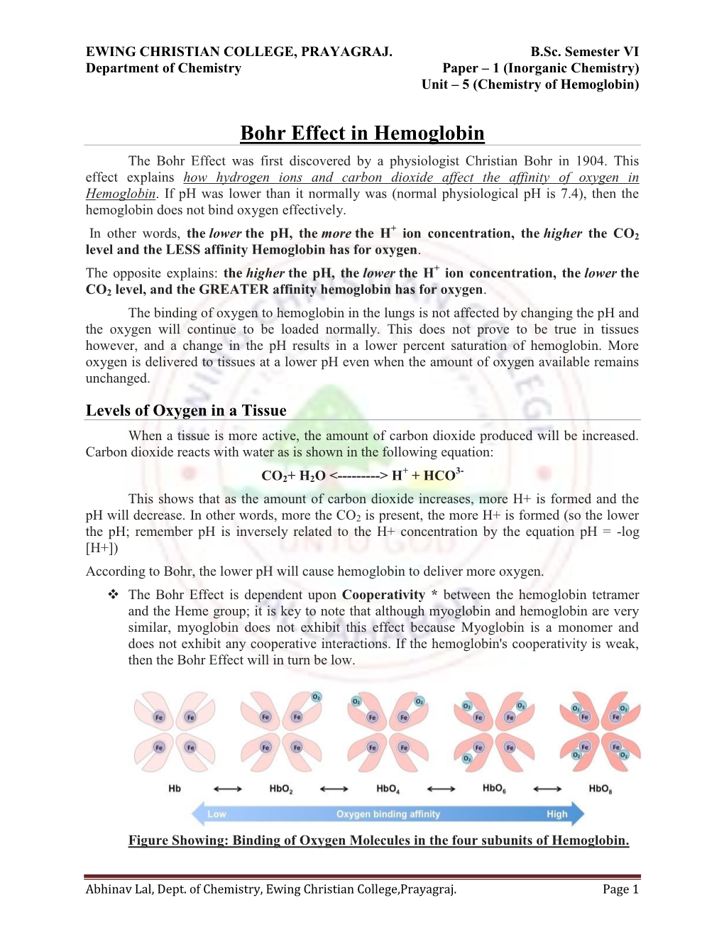 Bohr Effect in Hemoglobin the Bohr Effect Was First Discovered by a Physiologist Christian Bohr in 1904