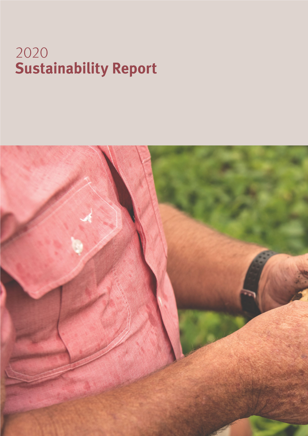 2020 Sustainability Report