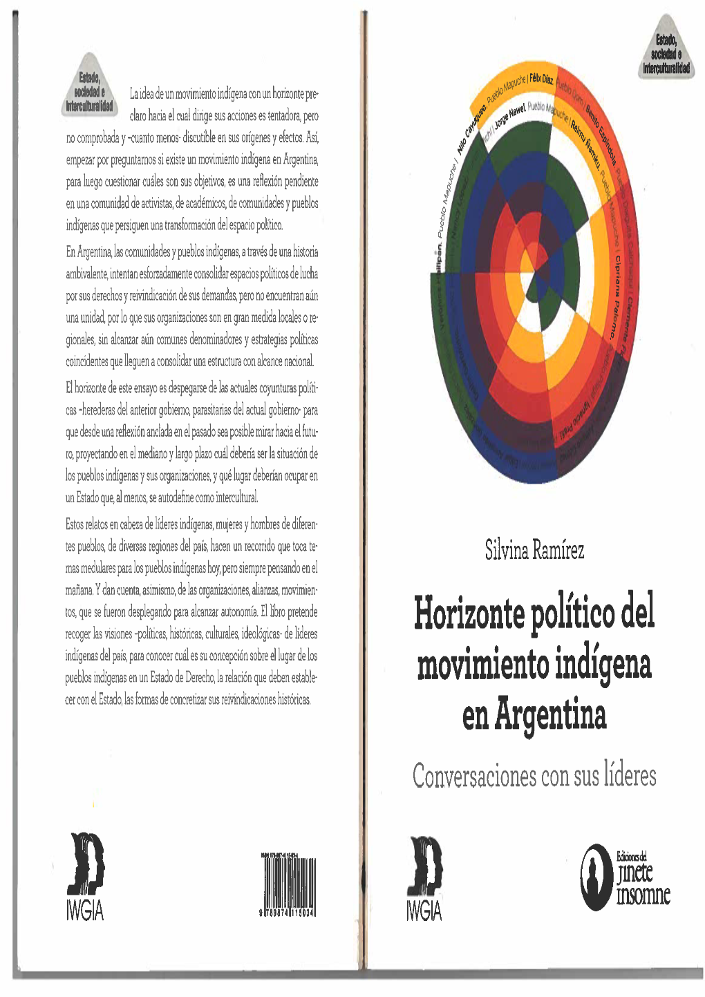 Pdf IWGIA Libro Horizonte Político Del Movimiento Indígena En Argentina