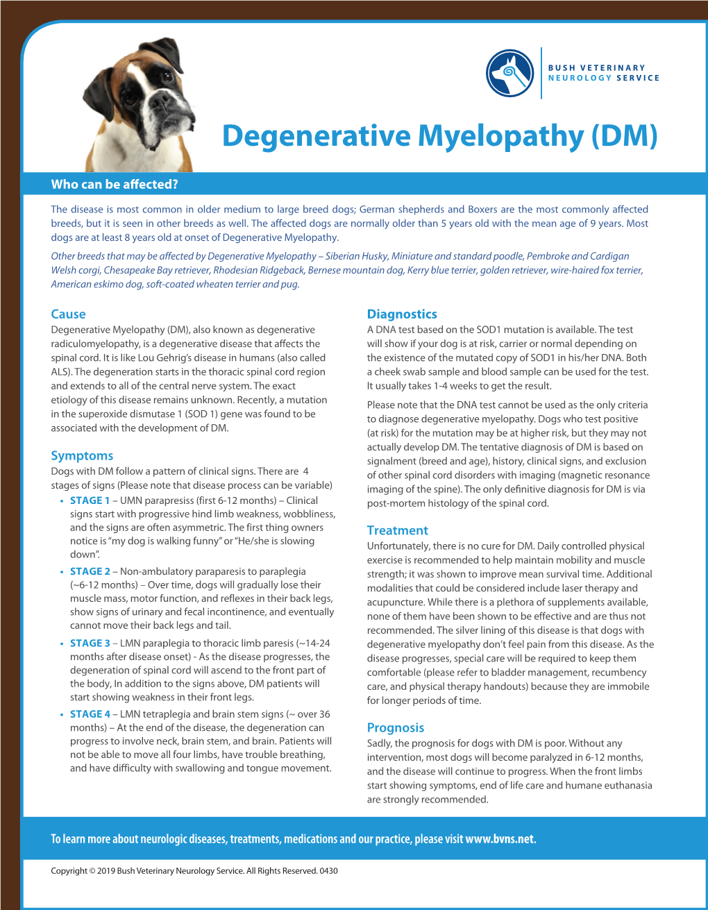 Degenerative Myelopathy (DM)