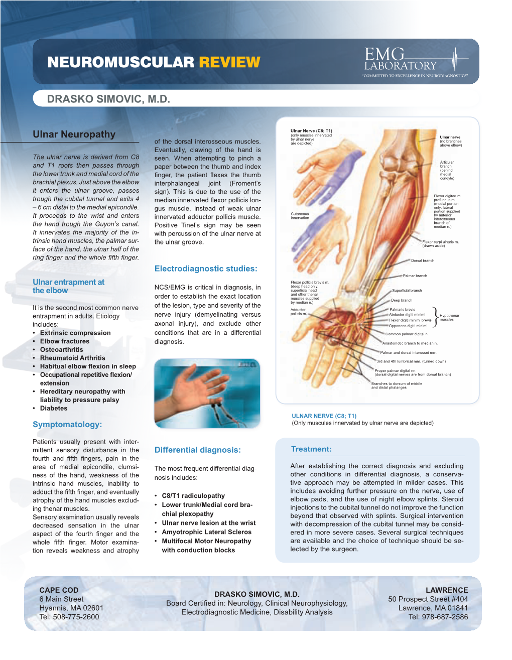 Ulnar Neuropathy by Ulnar Nerve (No Branches Are Depicted) of the Dorsal Interosseous Muscles