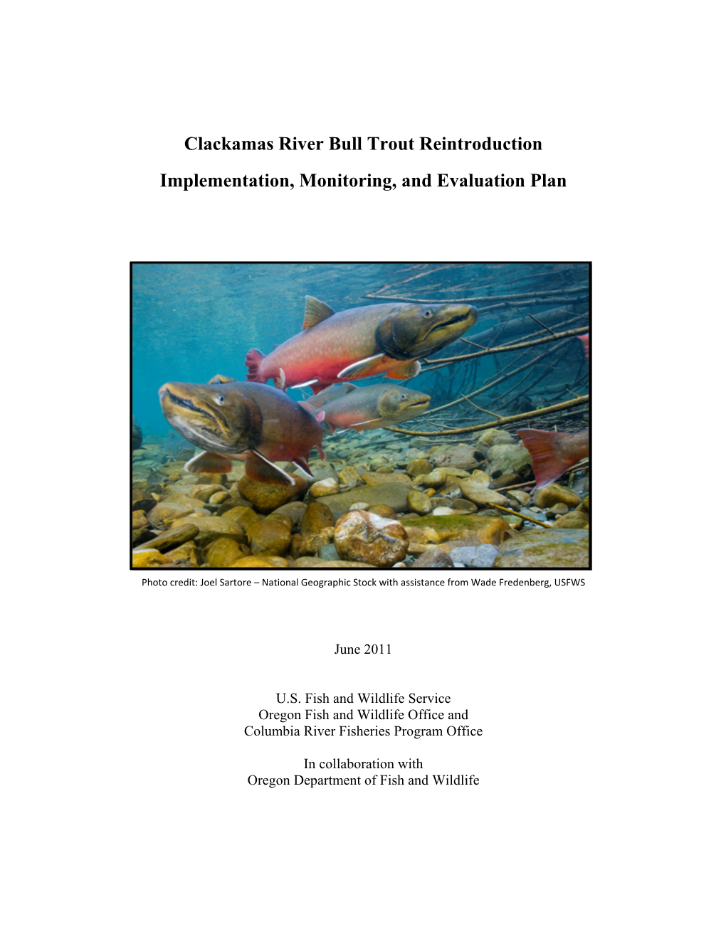 Clackamas River Bull Trout Reintroduction Implementation, Monitoring, and Evaluation Plan