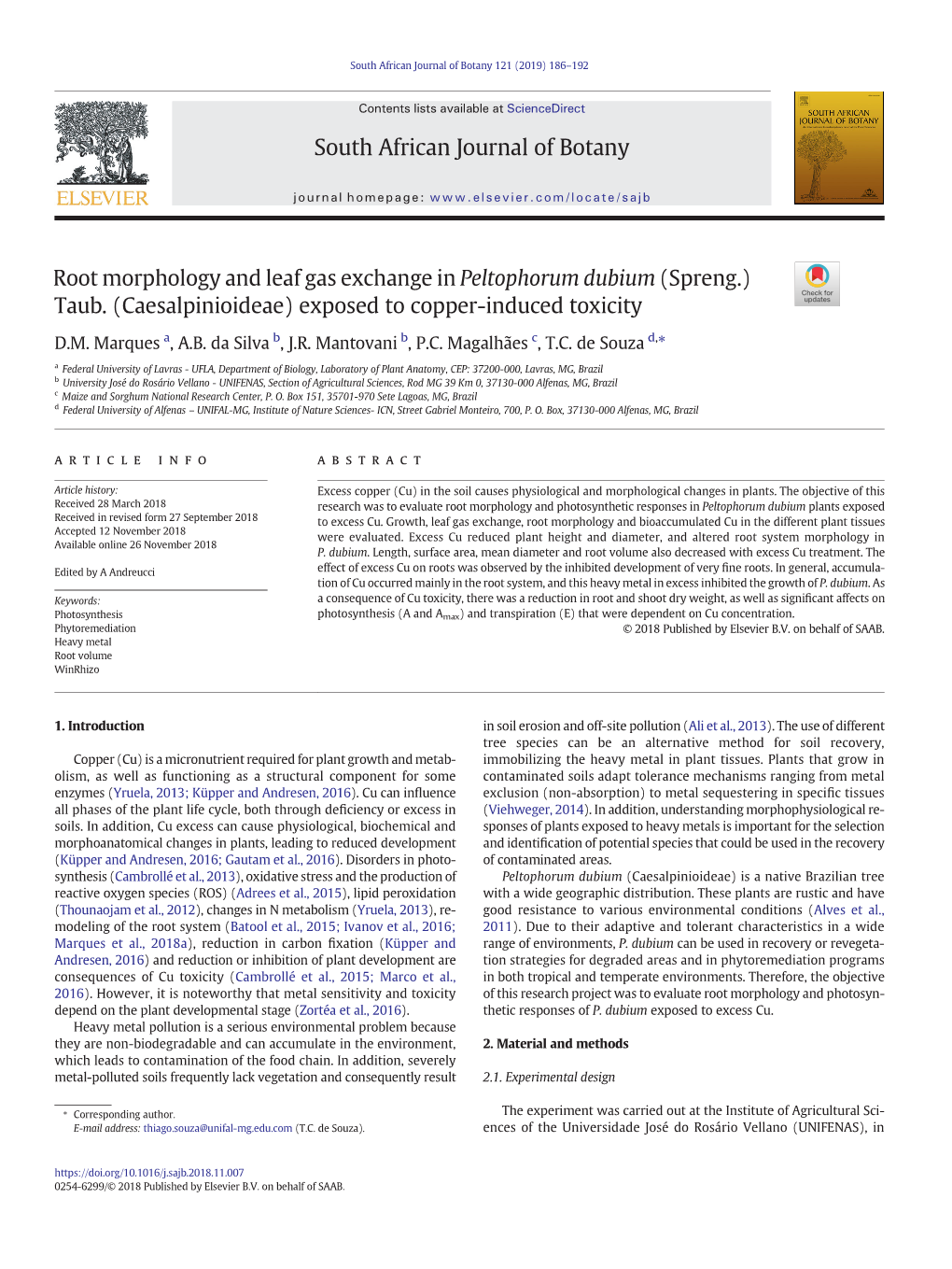 Root Morphology and Leaf Gas Exchange in Peltophorum Dubium (Spreng.) Taub