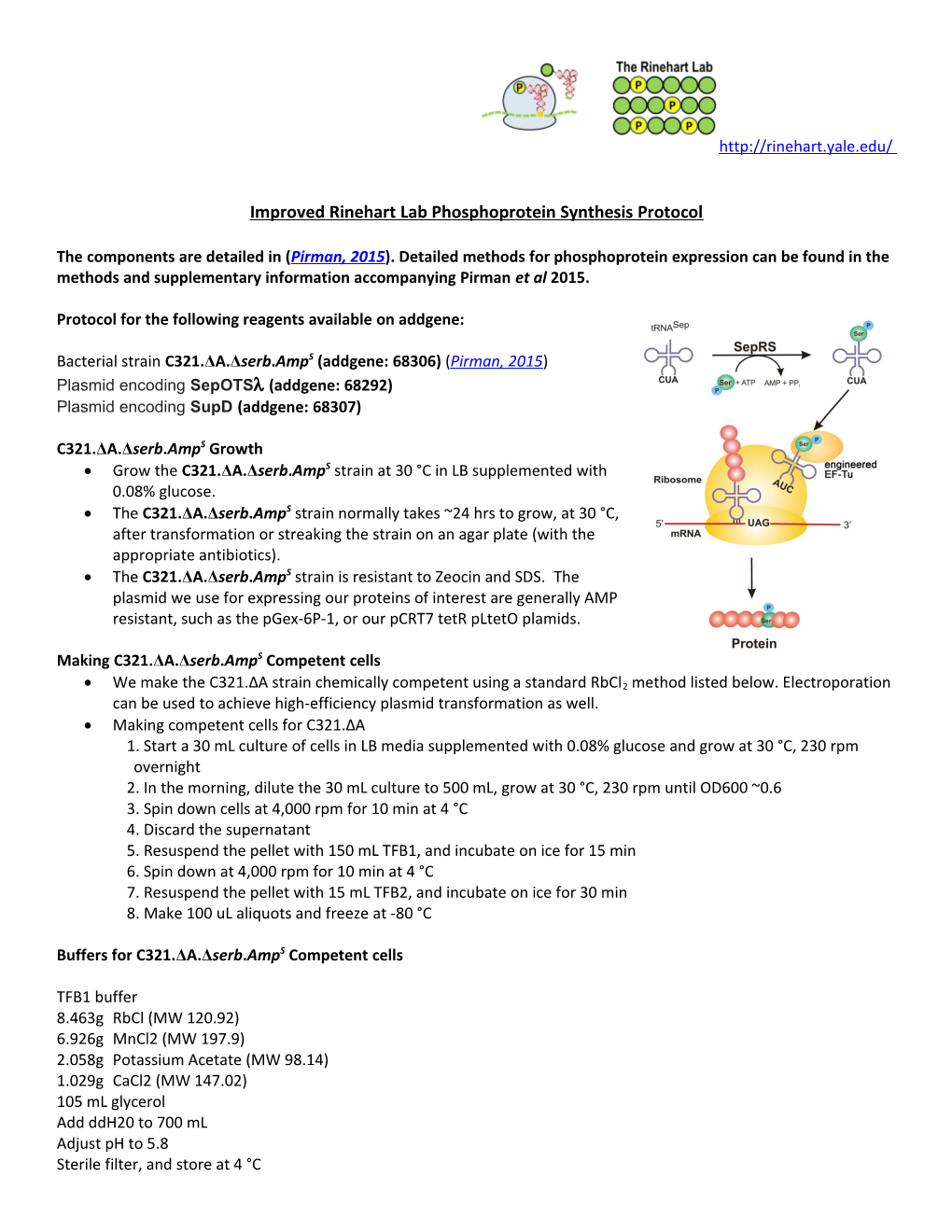 Improved Rinehart Lab Phosphoprotein Synthesis Protocol