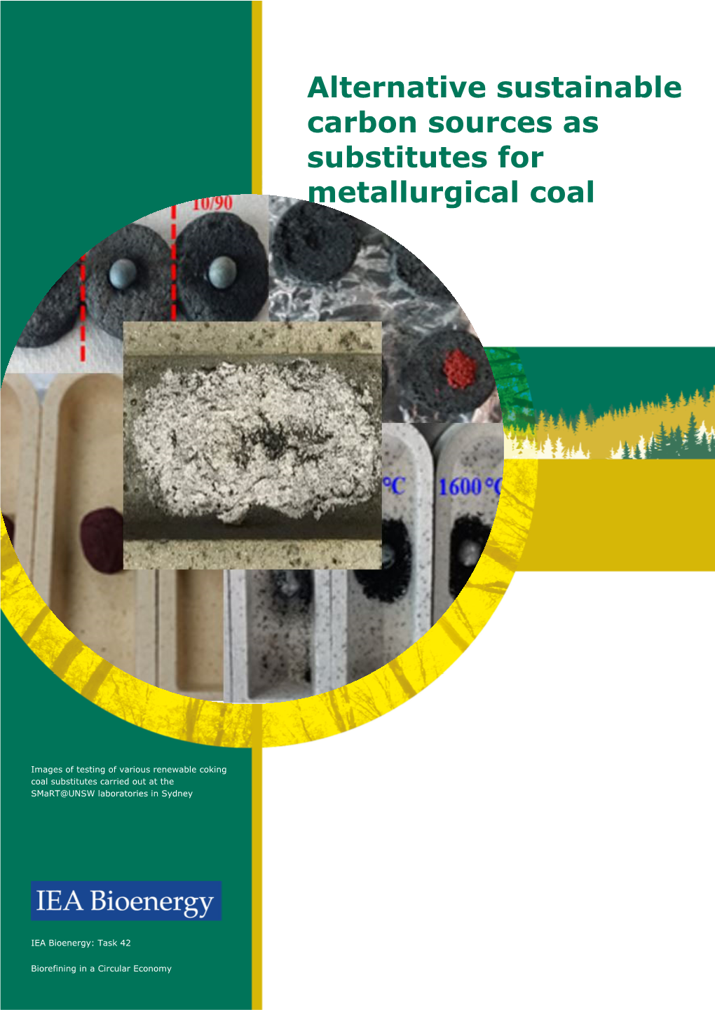 Alternative Sustainable Carbon Sources As Substitutes for Metallurgical Coal