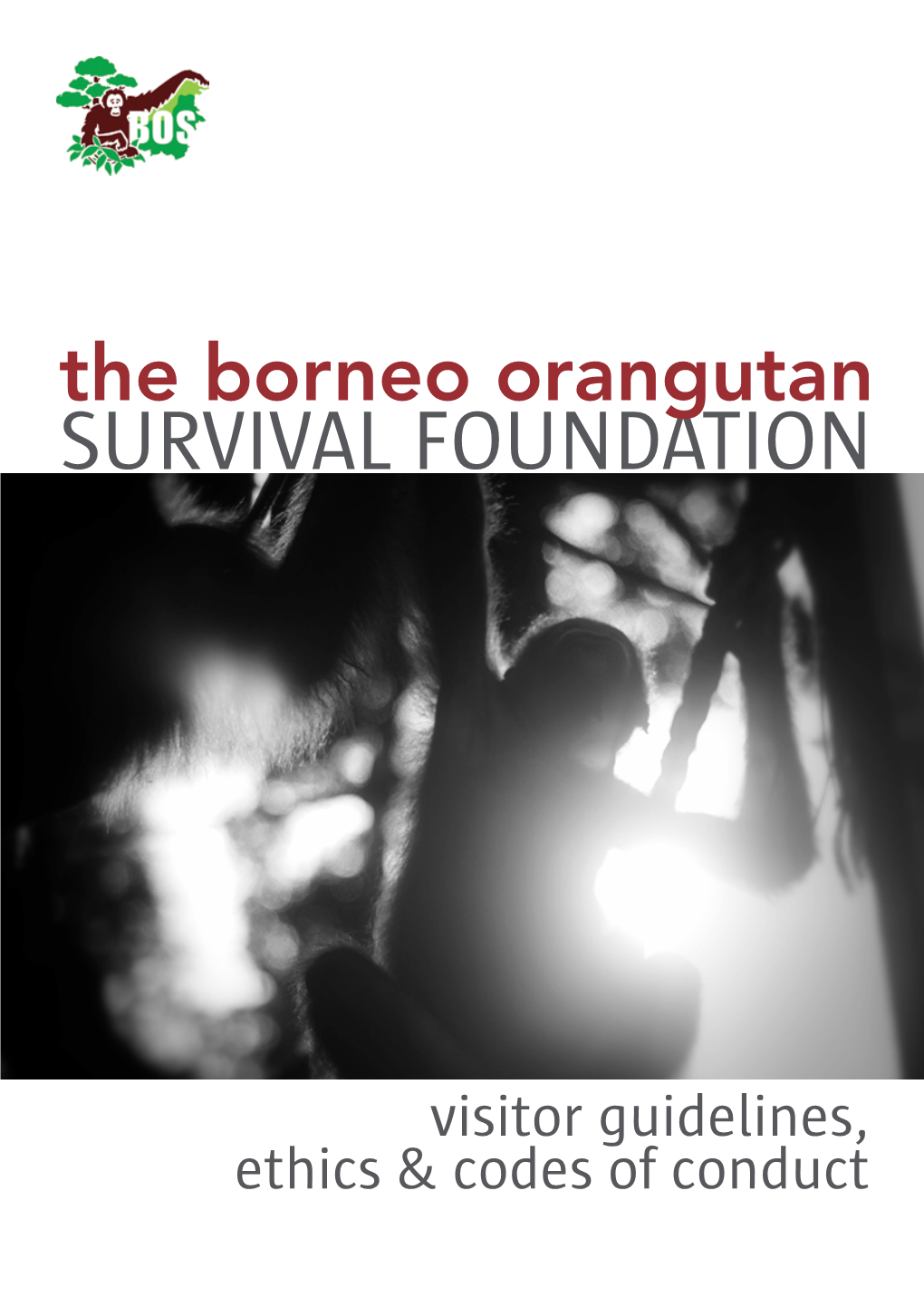 Survival Foundation