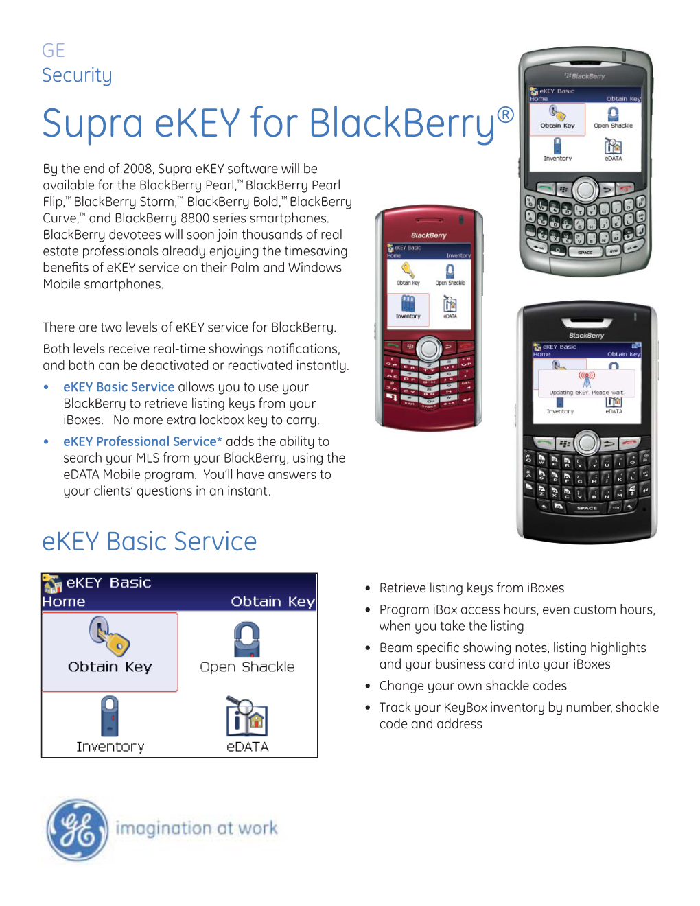 Blackberry Ekey.Indd