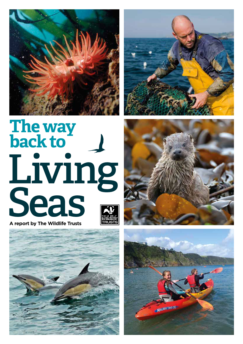 The Way Back to Living Seas