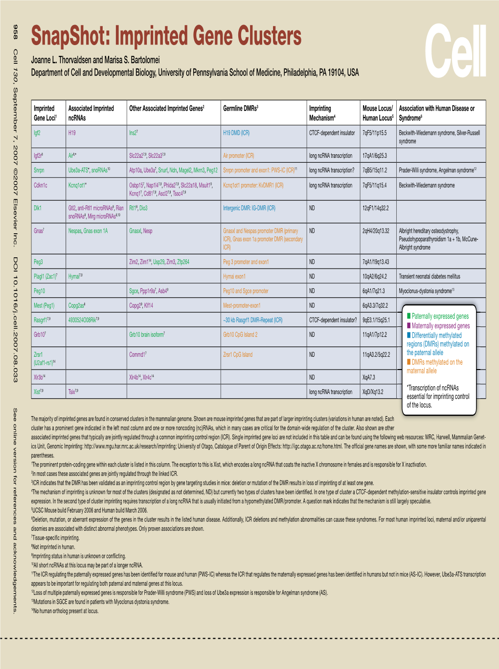 Snapshot: Imprinted Gene Clusters Joanne L