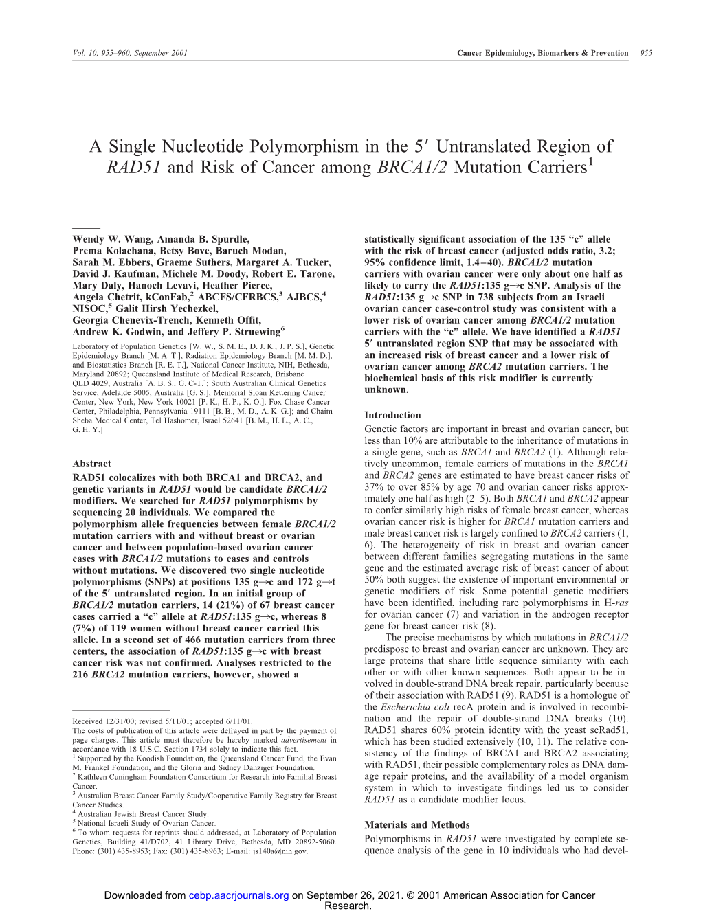 A Single Nucleotide Polymorphism in the 5 Untranslated Region Of