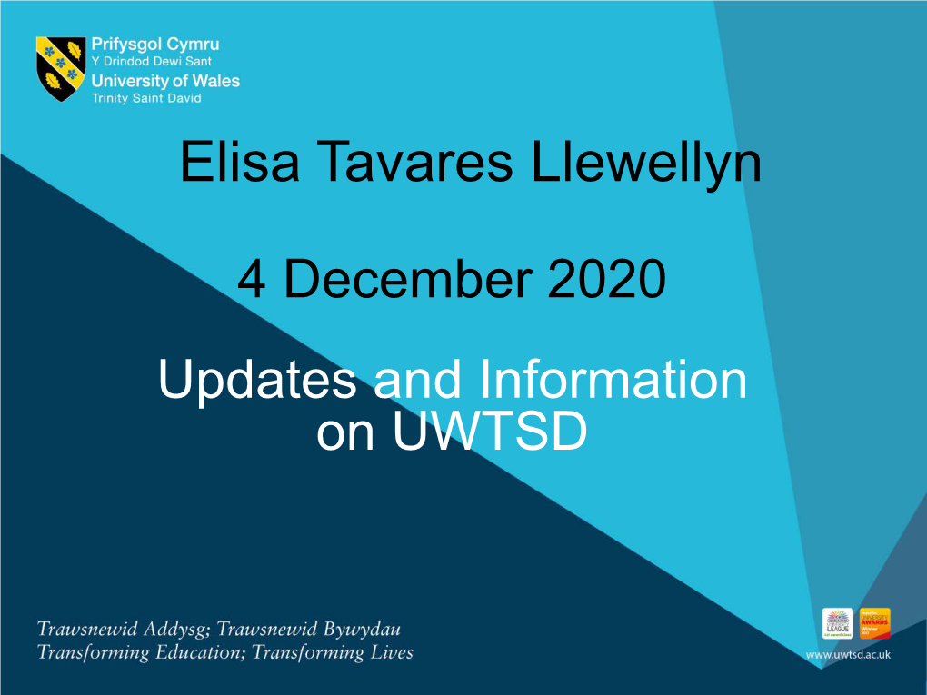 Elisa Tavares Llewellyn