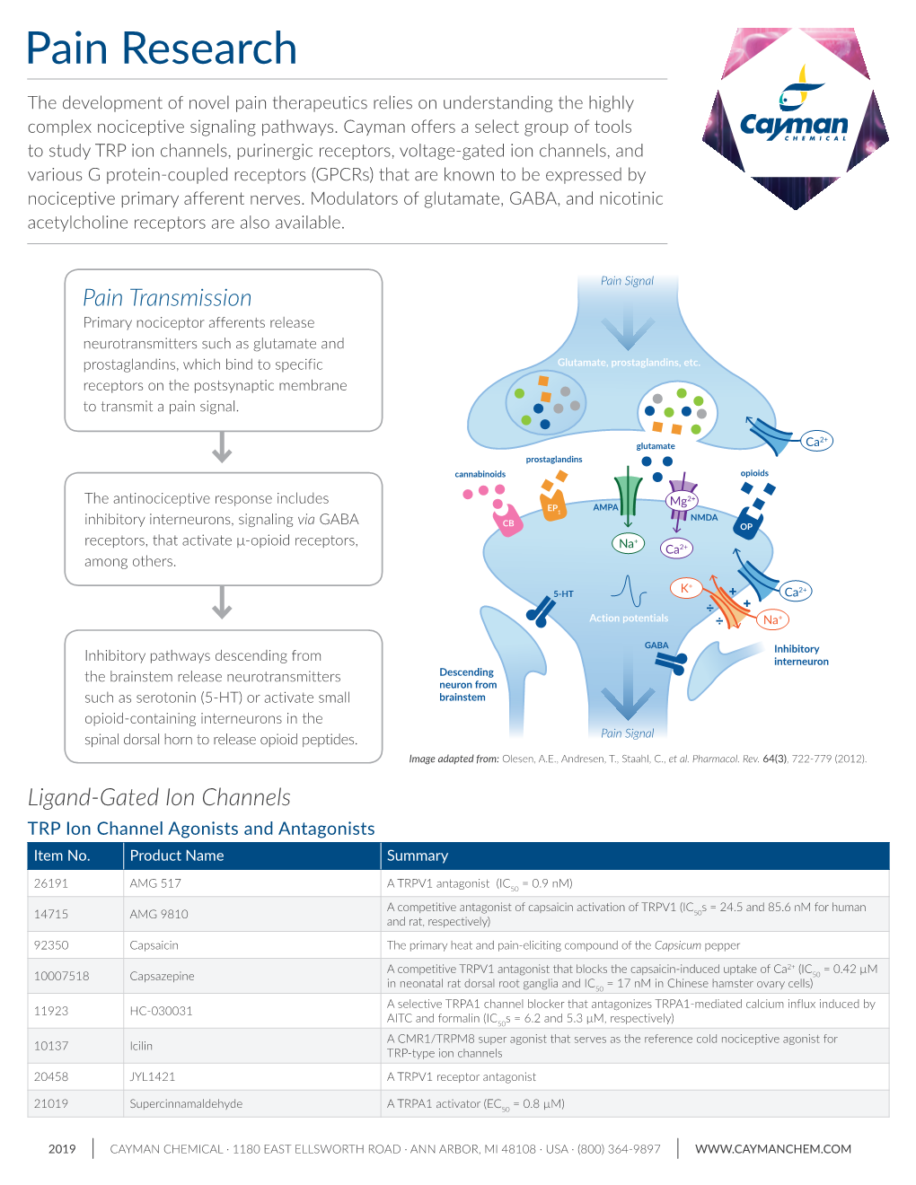 Pain Research