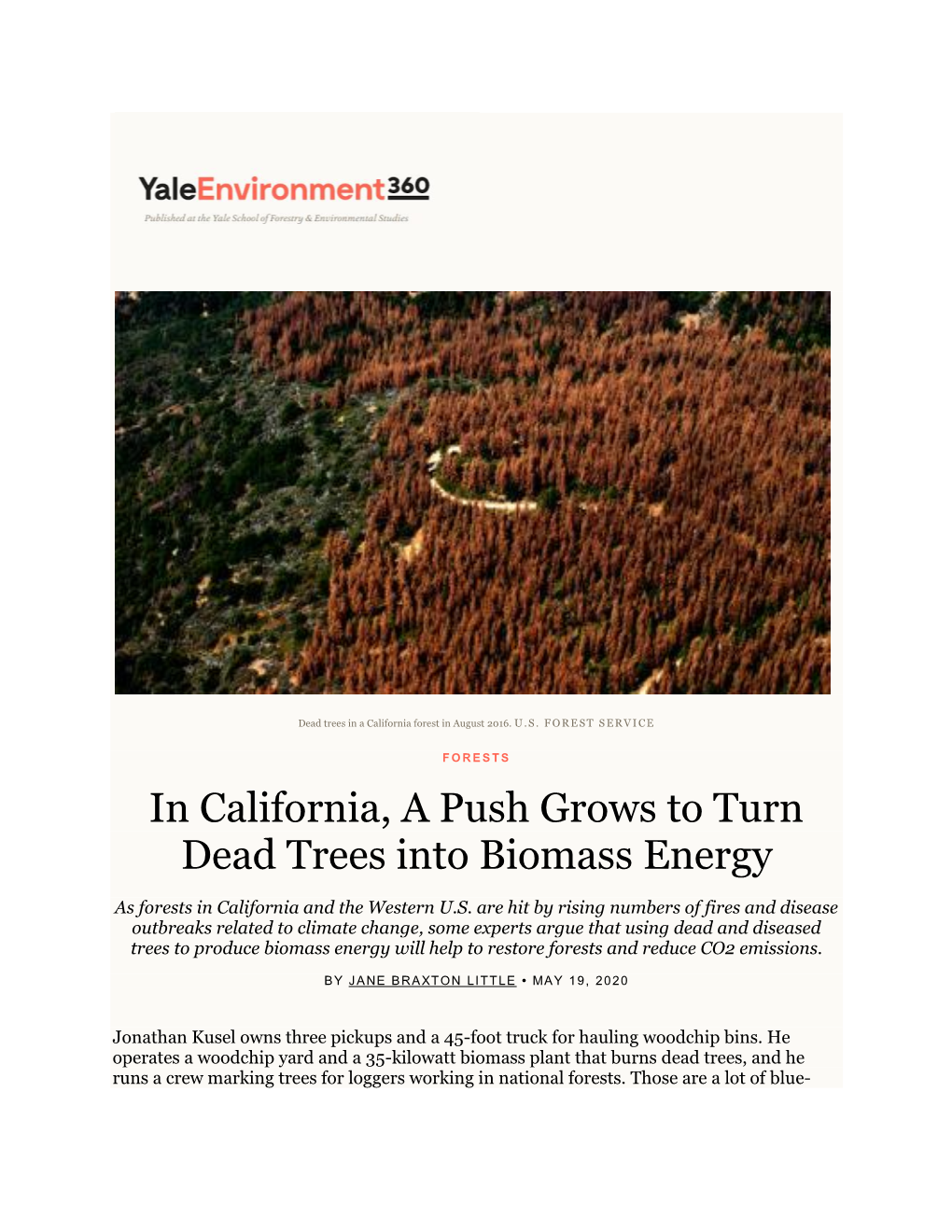 In California, a Push Grows to Turn Dead Trees Into Biomass Energy
