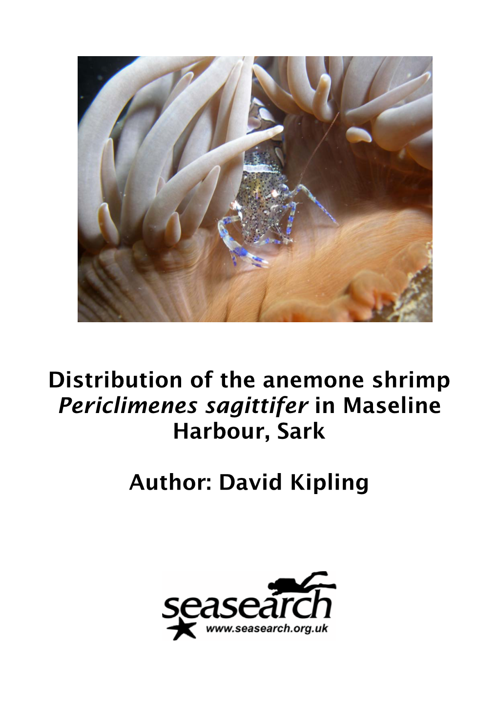 Distribution of the Anemone Shrimp Periclimenes Sagittifer in Maseline Harbour, Sark