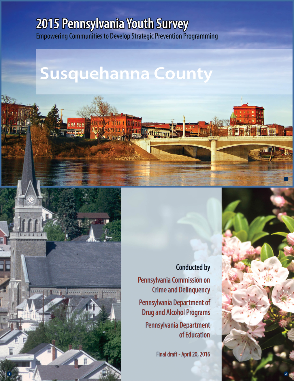 Susquehanna County Profile Report 2015