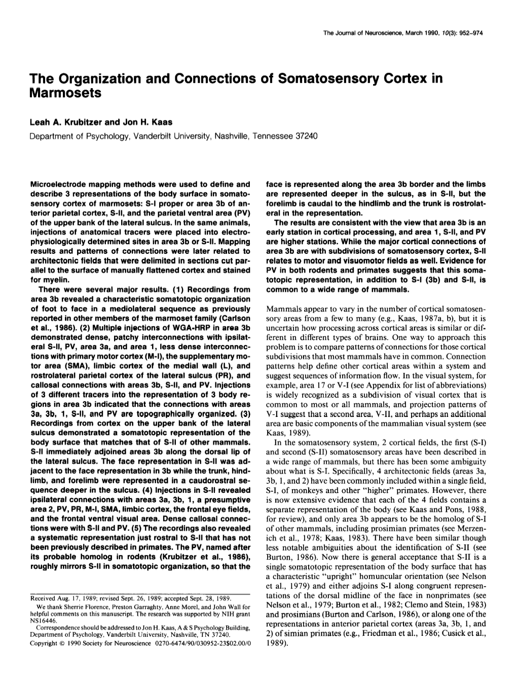 The Organization and Connections of Somatosensory Cortex in Marmosets