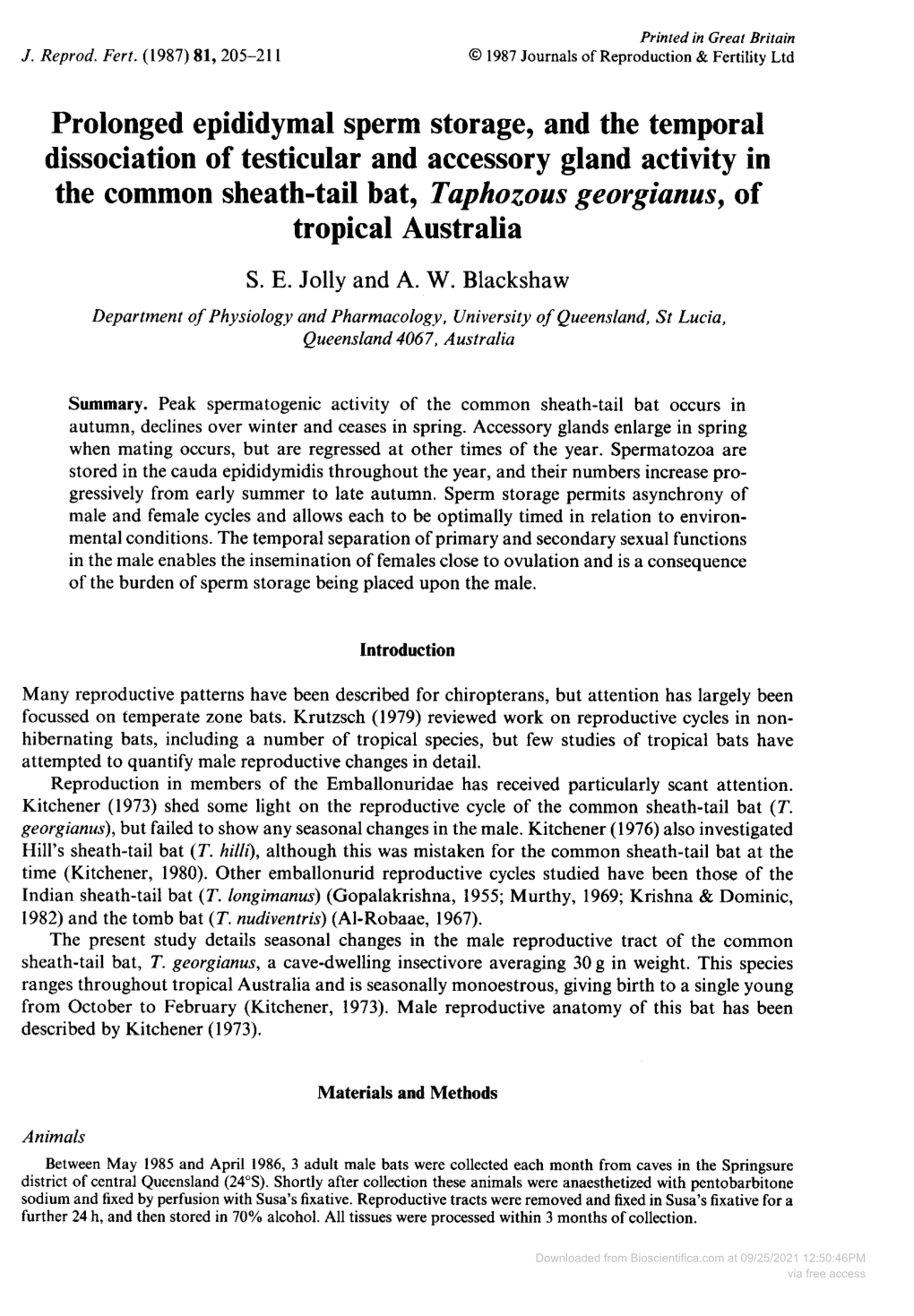 Prolonged Epididymal Sperm Storage, and the Temporal the Common