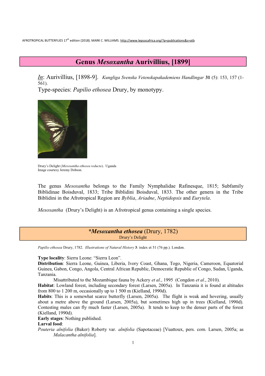 192 Genus Mesoxantha Aurivillius