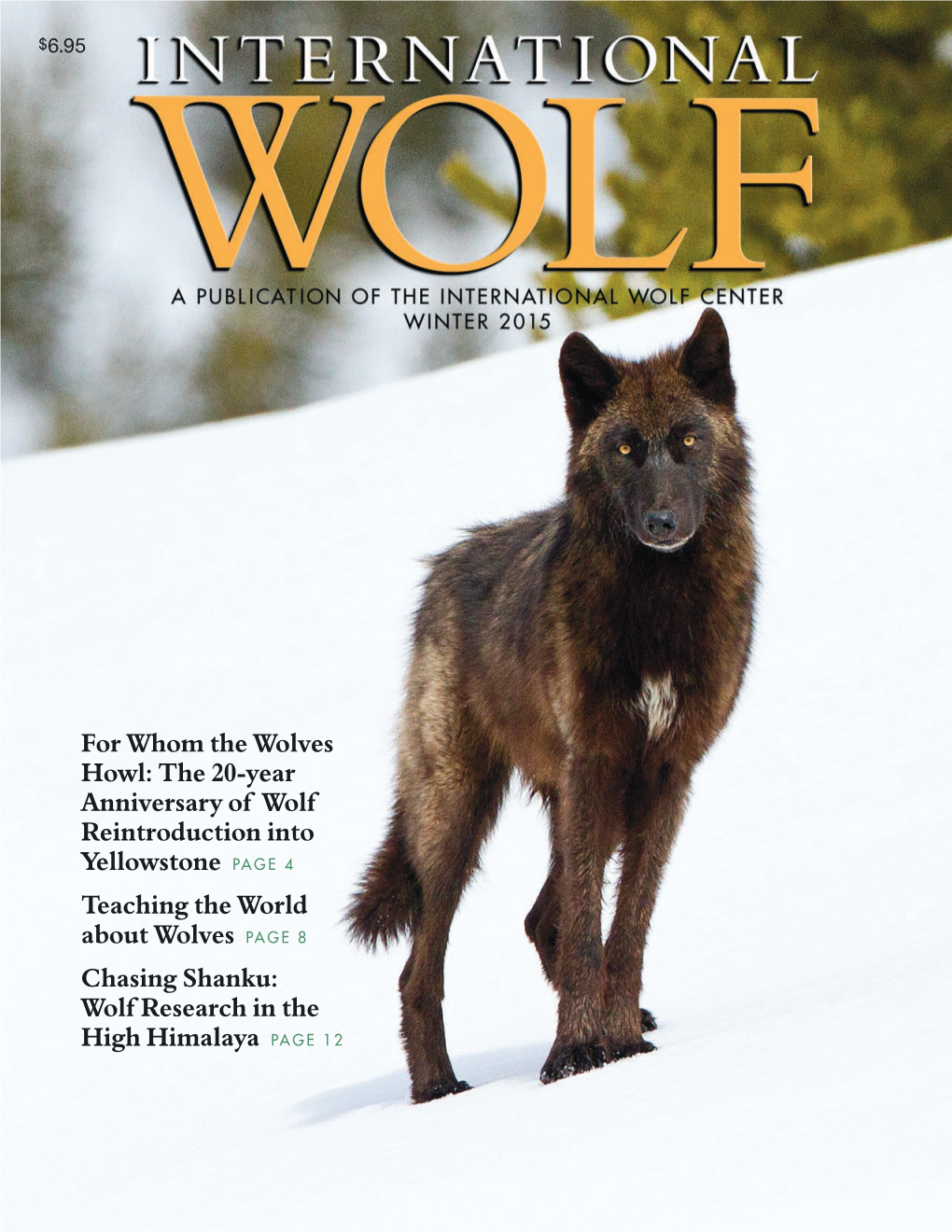 The 20-Year Anniversary of Wolf Reintroduction Into Yellowstone