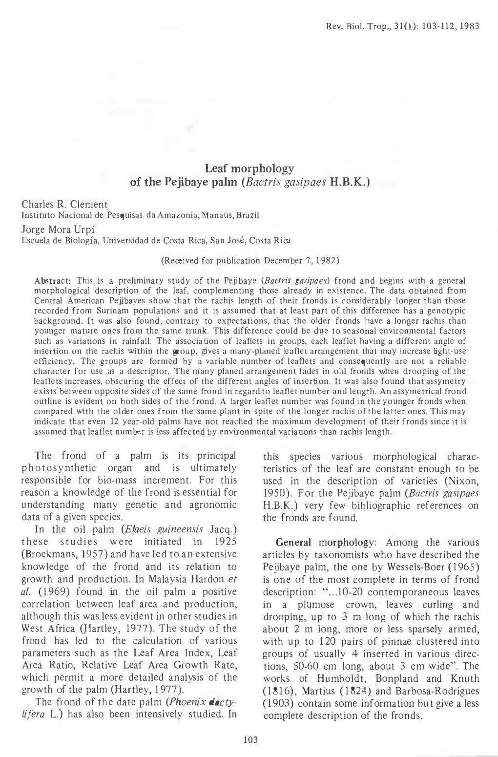 Leaf Morphology of the Pejibaye Palm (Bactris Gasipaes H.B.K.)