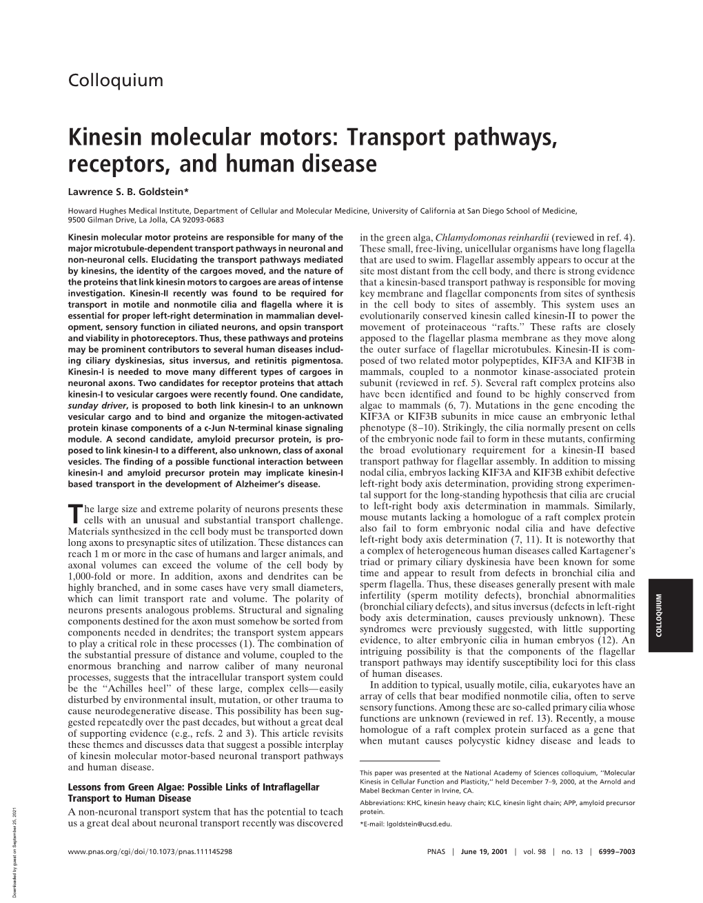 Kinesin Molecular Motors: Transport Pathways, Receptors, and Human Disease