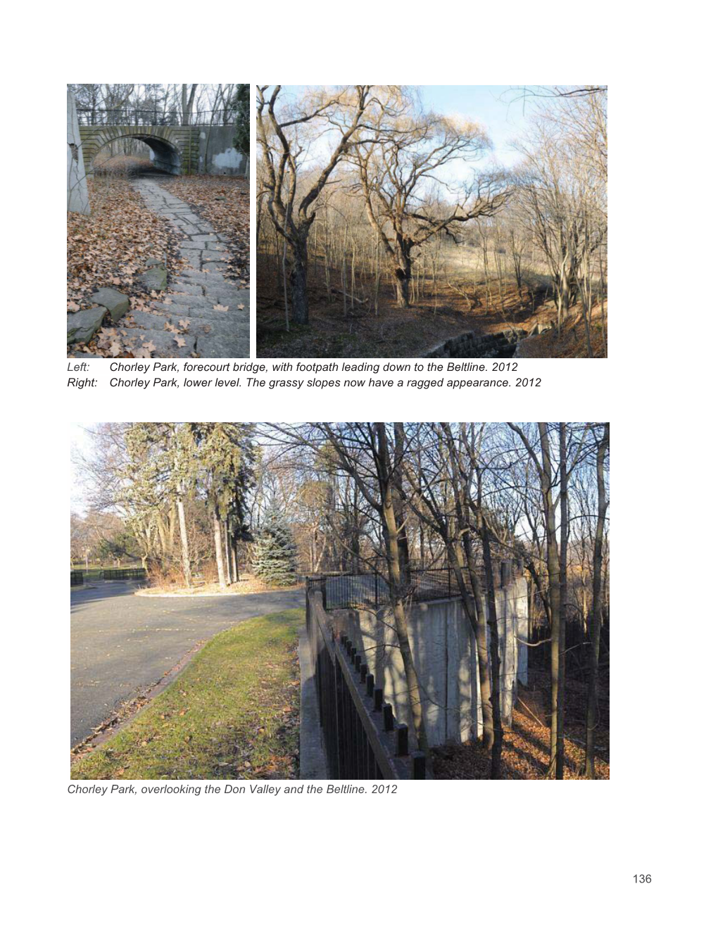 Cycle Toronto Beltline Report.Docx