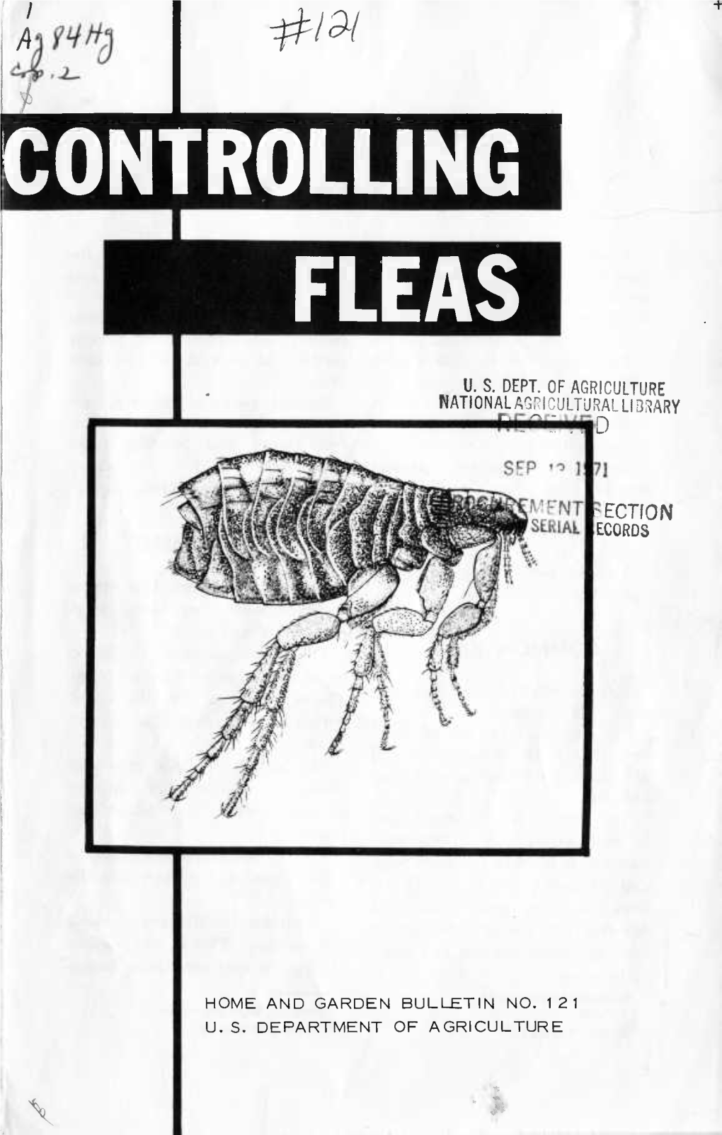 Controlling Fleas