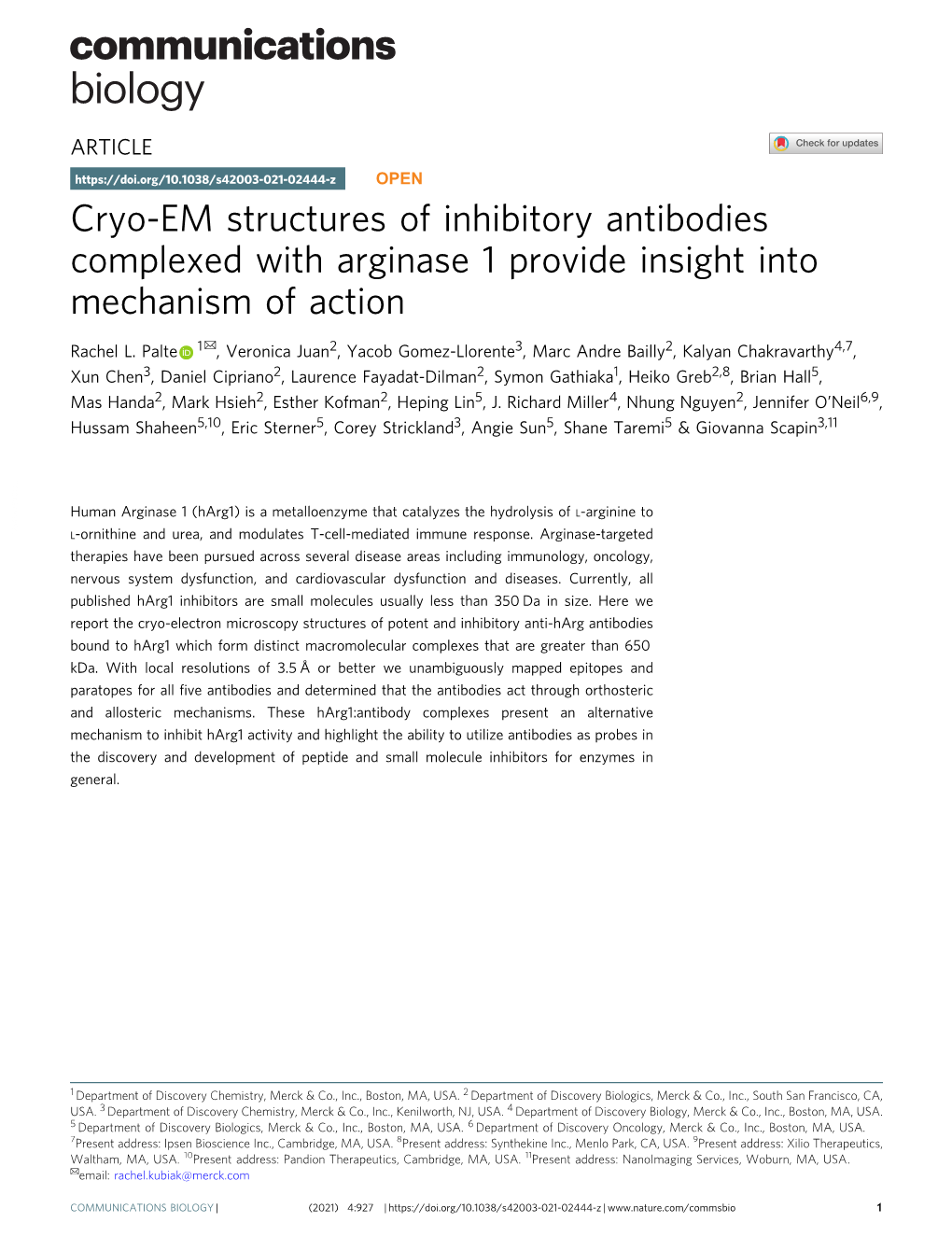 Cryo-EM Structures of Inhibitory Antibodies Complexed with Arginase 1 Provide Insight Into Mechanism of Action ✉ Rachel L