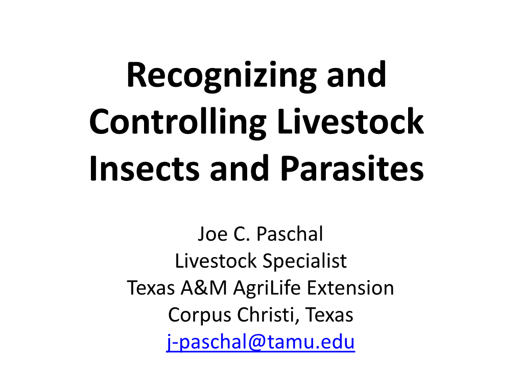 Internal External Parasite Control in Beef Cattle