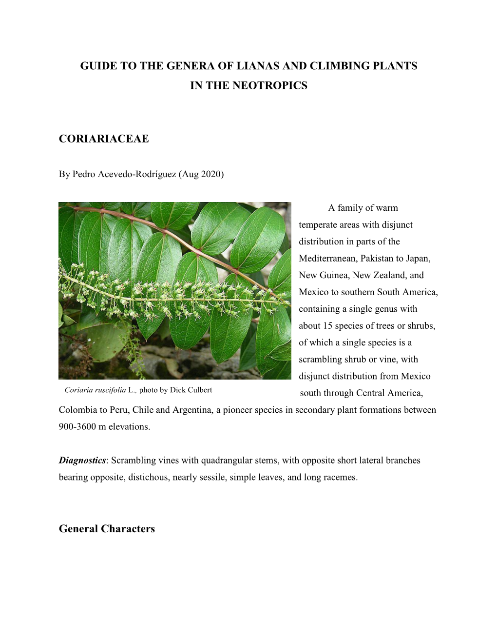 Lianas and Climbing Plants of the Neotropics: Coriariaceae