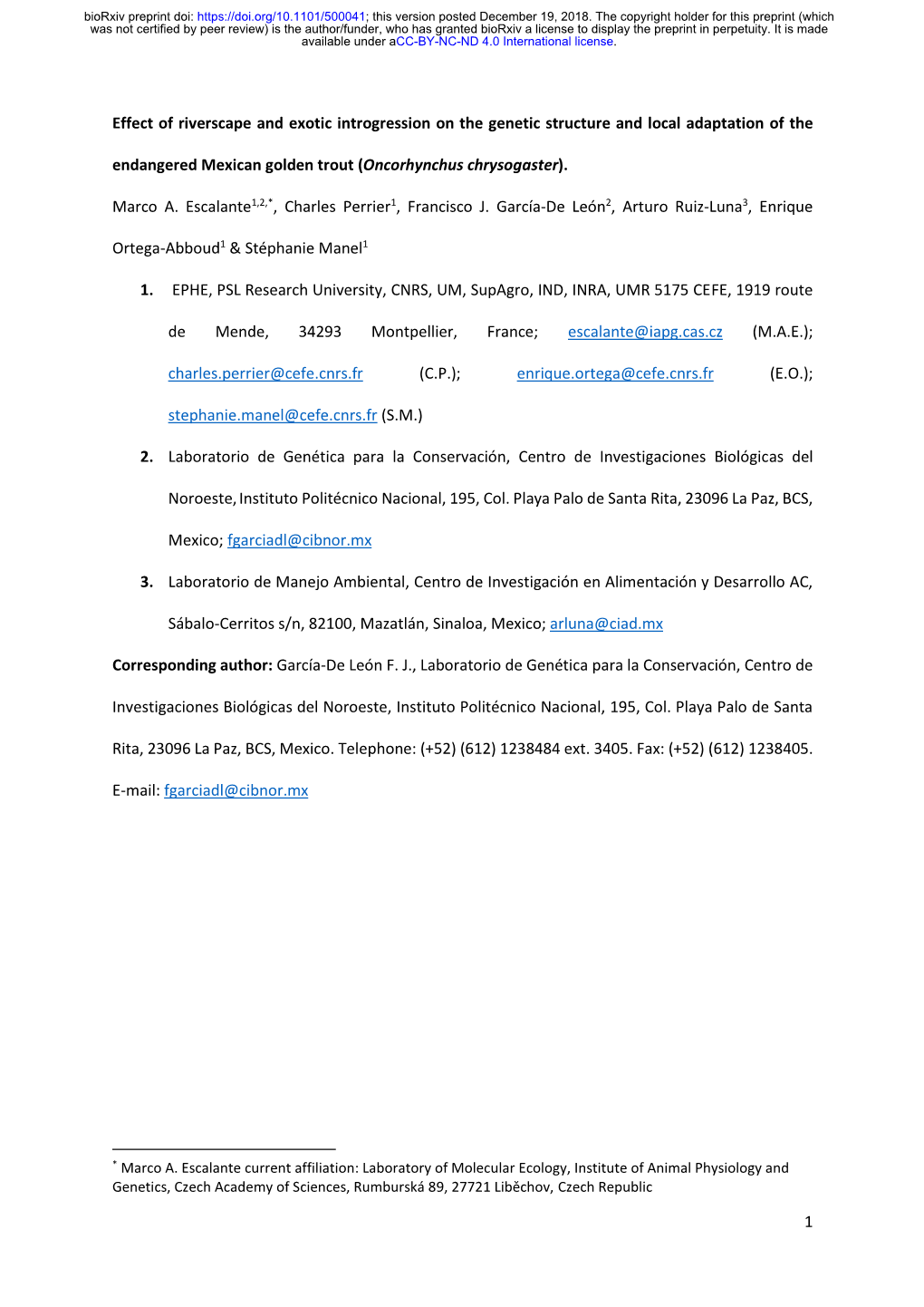 Effect of Riverscape and Exotic Introgression on the Genetic Structure and Local Adaptation of the Endangered Mexican Golden