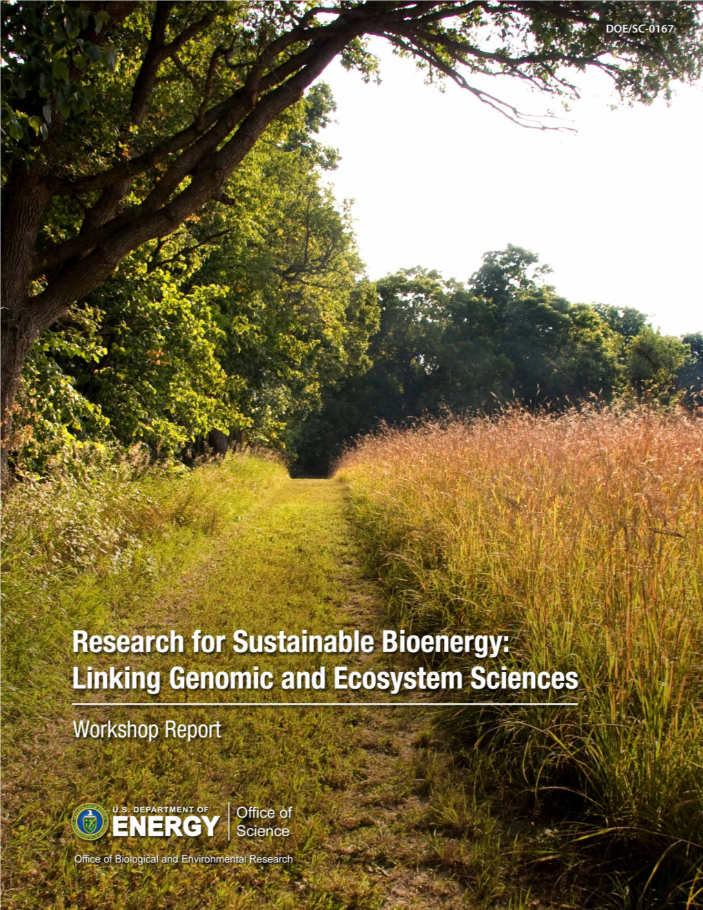 Research for Sustainable Bioenergy Workshop October 2–4, 2013 Convened by U.S