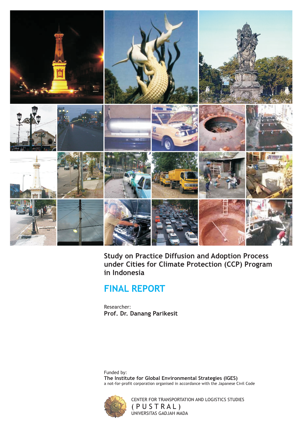 Final Report