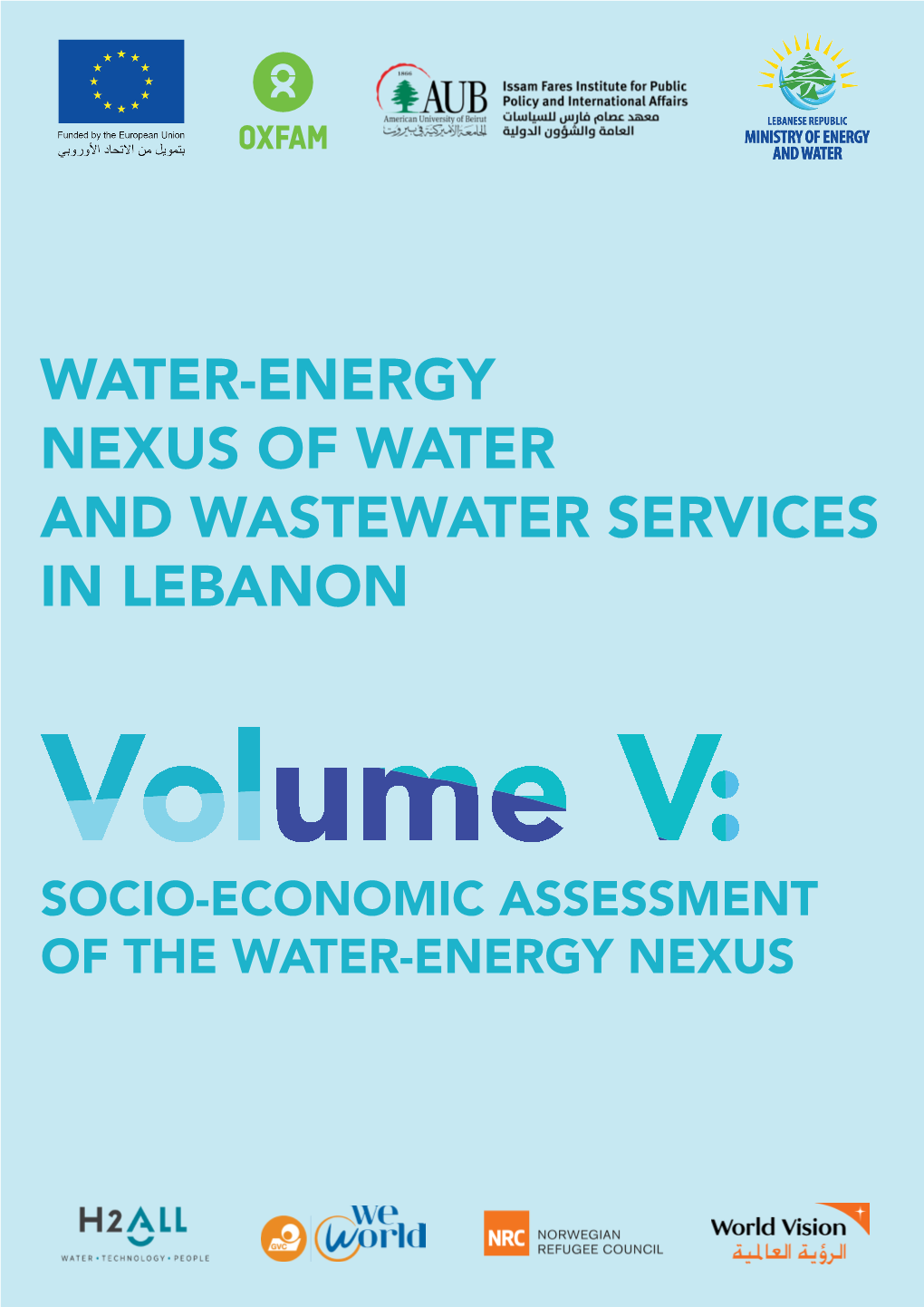 Socio-Economic Assessment of the Water-Energy Nexus
