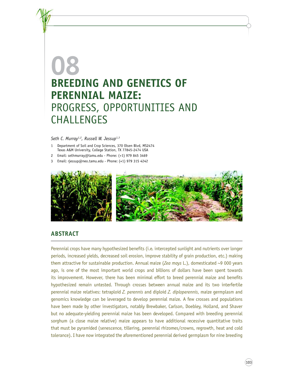 Breeding and Genetics of Perennial Maize: Progress, Opportunities and Challenges