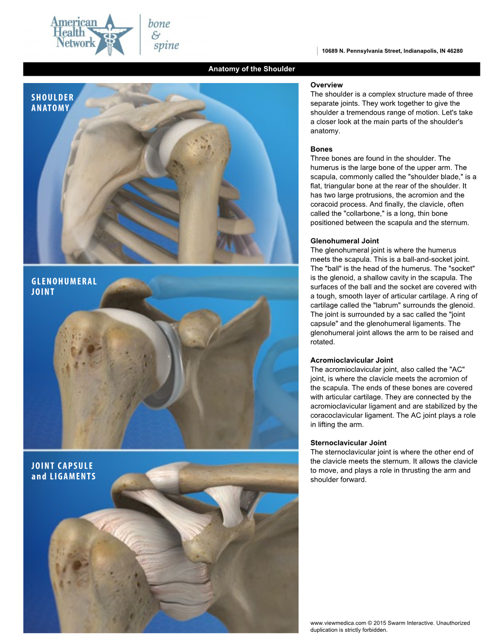 Shoulder Anatomy Glenohumeral Joint Joint