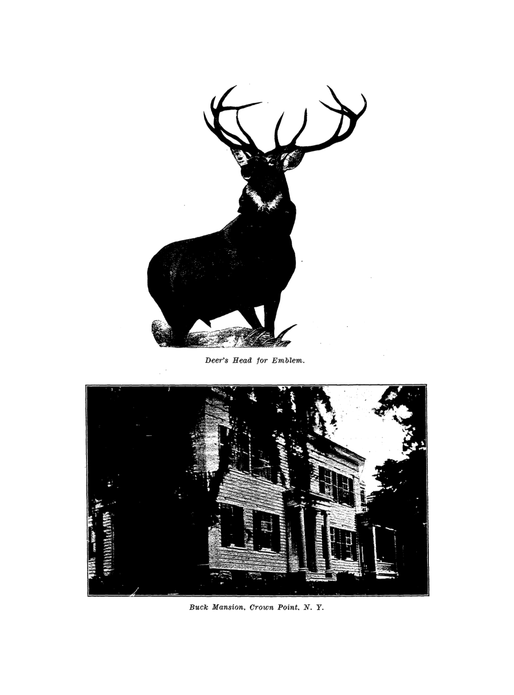 Deer's Head for Emblem. Buck Mansion, Crown Point. N. Y